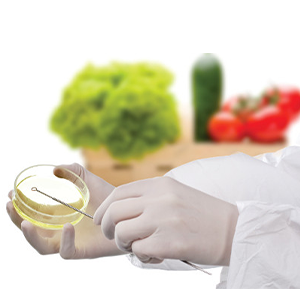 Highfield Level 3 Award in HACCP for Caterers (RQF)