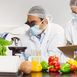 Highfield Level 3 Award in HACCP for Catering (RQF)