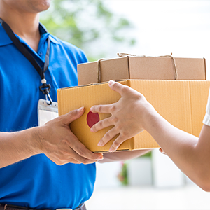 Registered Courier